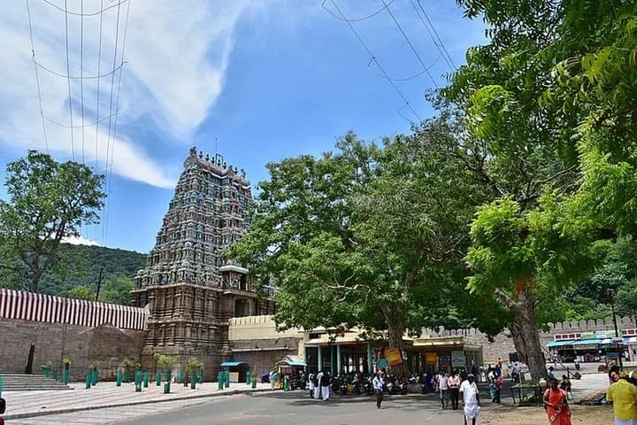 Discover the mysteries hidden in the city while strolling around the s