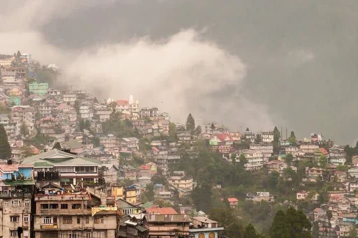 Discover all the beautiful and famous sites of Darjeeling and taste lo — photo 6