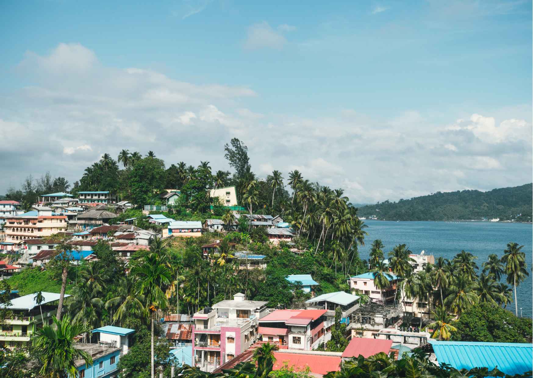 Discover all the beautiful and famous sites of Port Blair and taste lo — photo 7