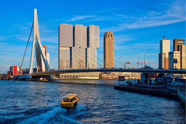Rotterdam Highlights with Local: Walking Tour & Boat Cruise — photo 5
