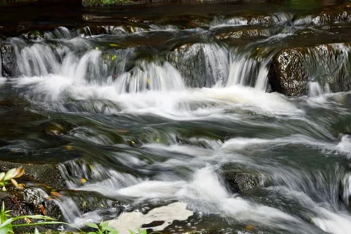 Discover all the beautiful and famous sites of Shillong and taste loca — photo 4