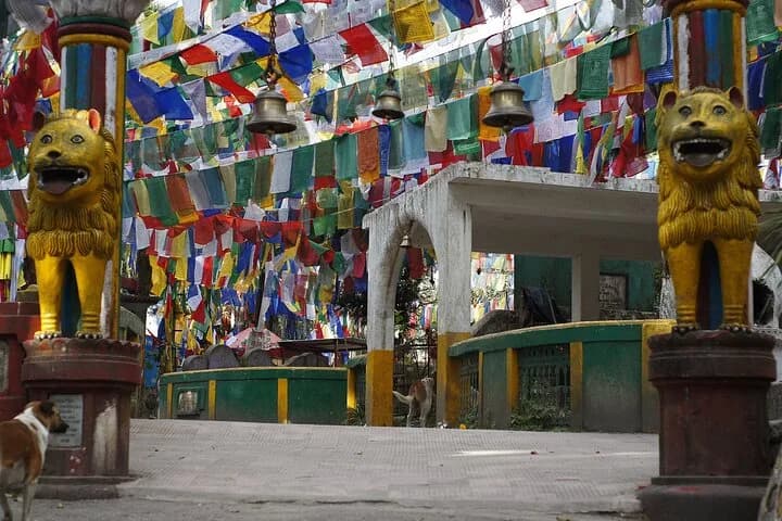 Best of Darjeeling (Guided Halfday Sightseeing Tour by Car) — photo 4
