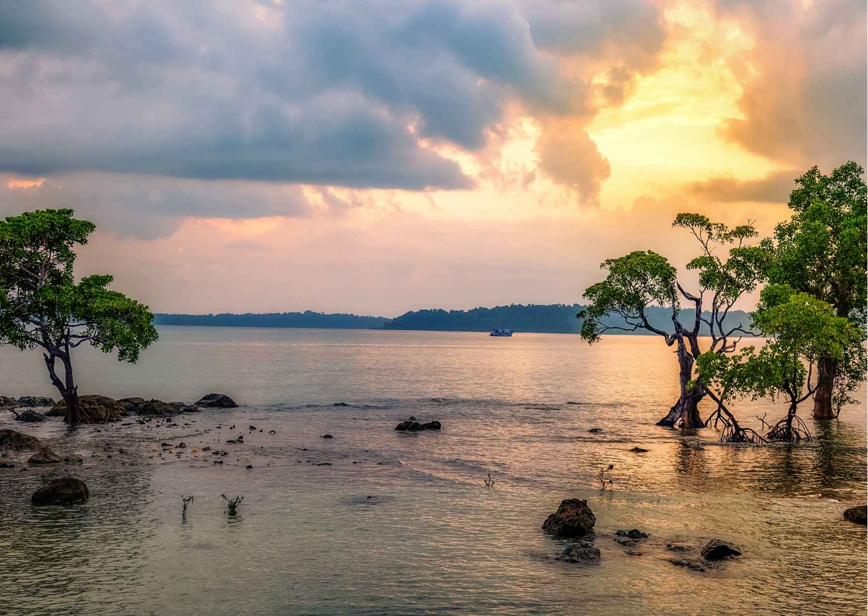 Discover all the beautiful and famous sites of Port Blair and taste lo — photo 8
