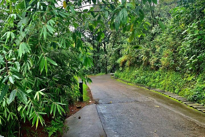 Discover hidden gems within the city's natural paths in the stunning c — photo 6