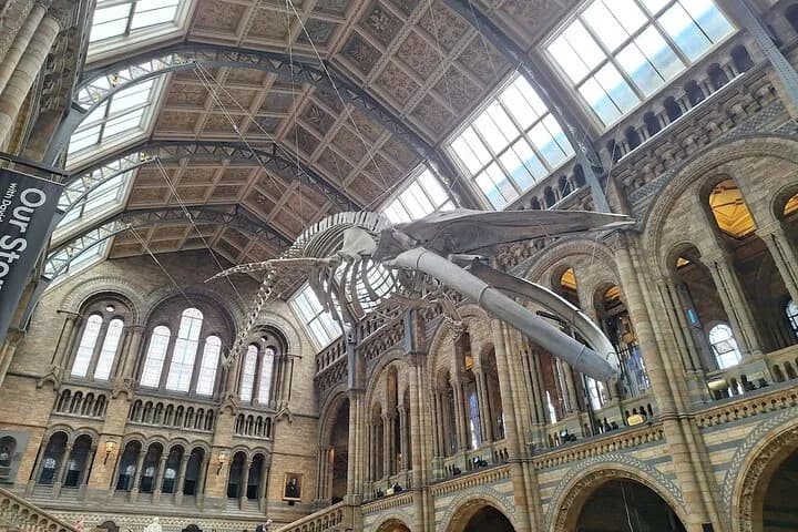 Natural History Museum Audio Tour — photo 5