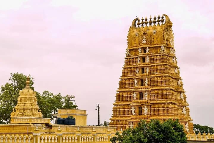 Experience all the stunning and well-known locations in Mysore and sam — photo 2