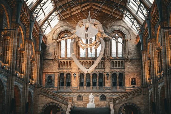 Natural History Museum Audio Tour — photo 3