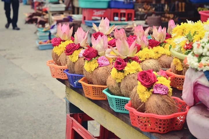 Discover the vivid and lively marketplaces of Mysore. This walk will n
