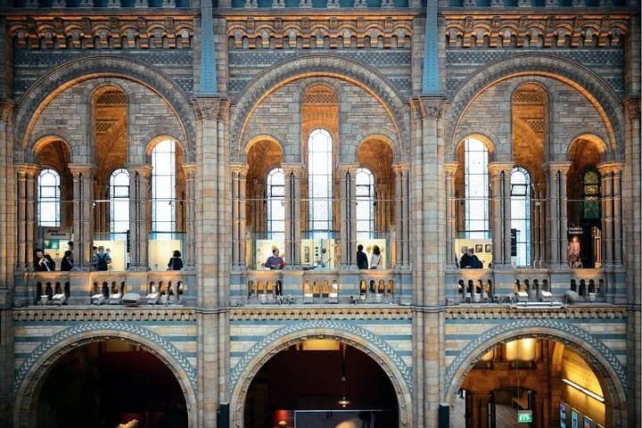 Natural History Museum Audio Tour — photo 7