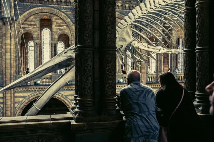Natural History Museum Audio Tour — photo 6
