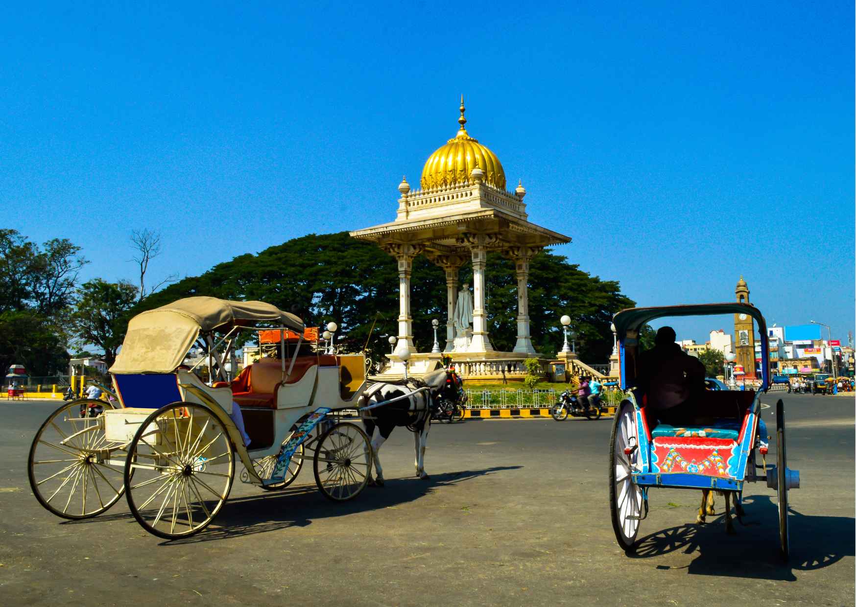 Experience all the stunning and well-known locations in Mysore and sam — photo 8