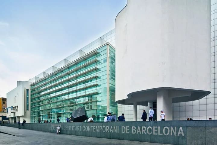 Barcelona Top Art Museum Pass Picasso Miro Tapies MNAC MACBA — photo 4