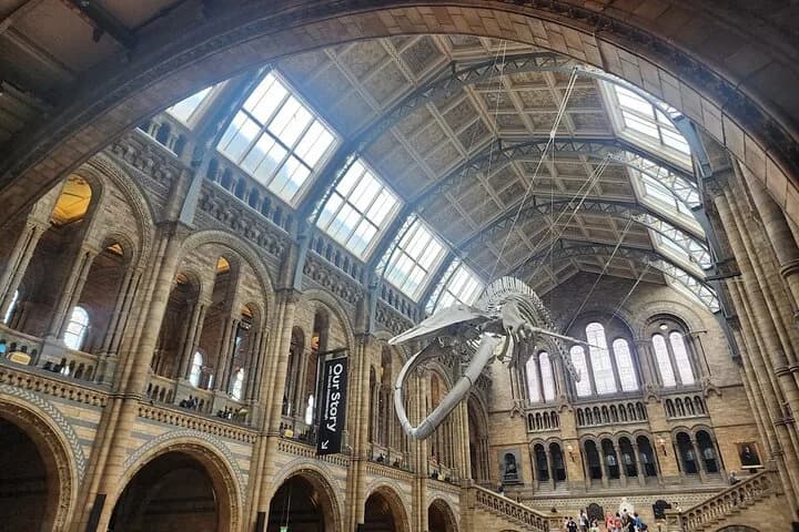 Natural History Museum Audio Tour — photo 4
