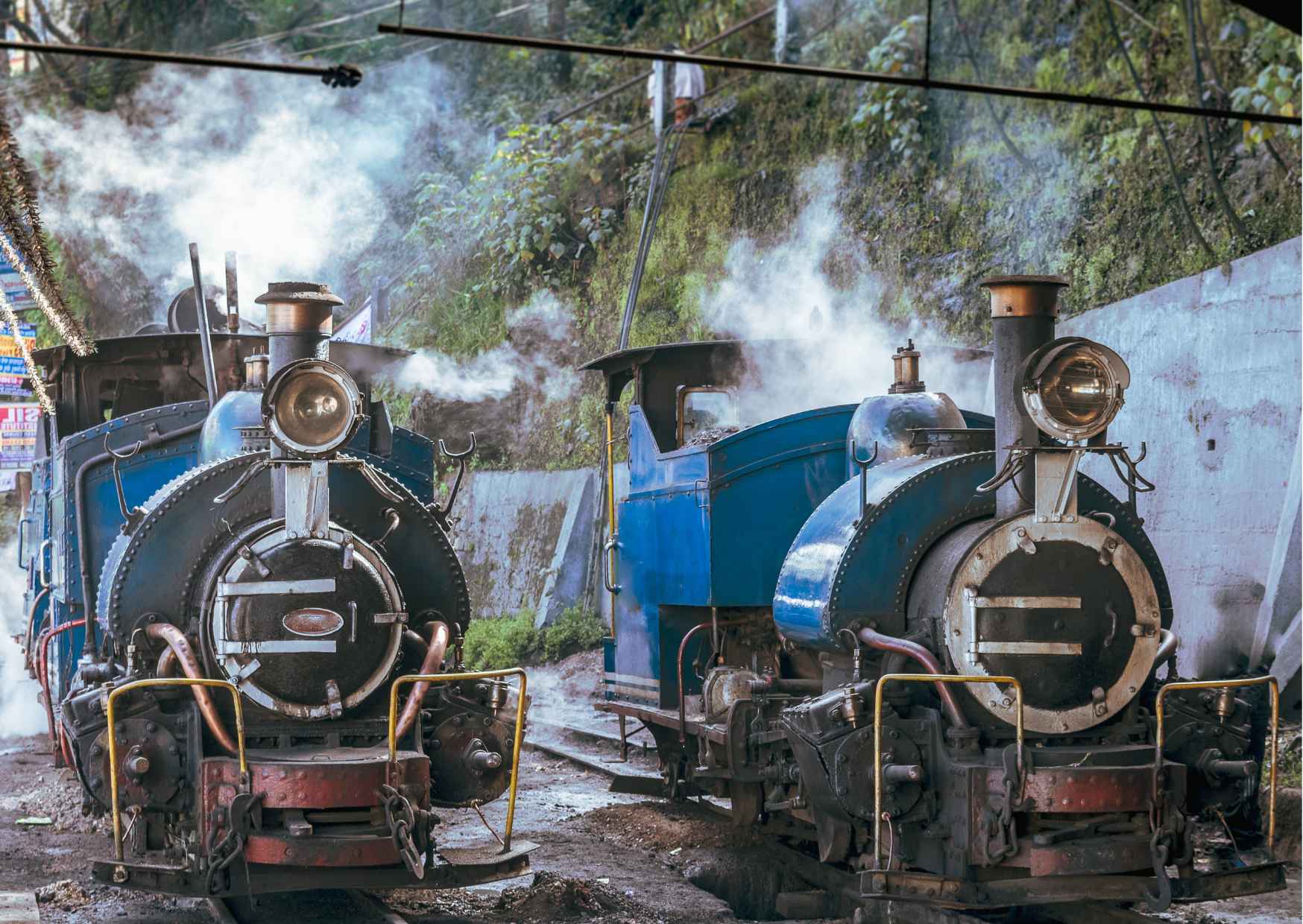 Best of Darjeeling (Guided Halfday Sightseeing Tour by Car) — photo 7
