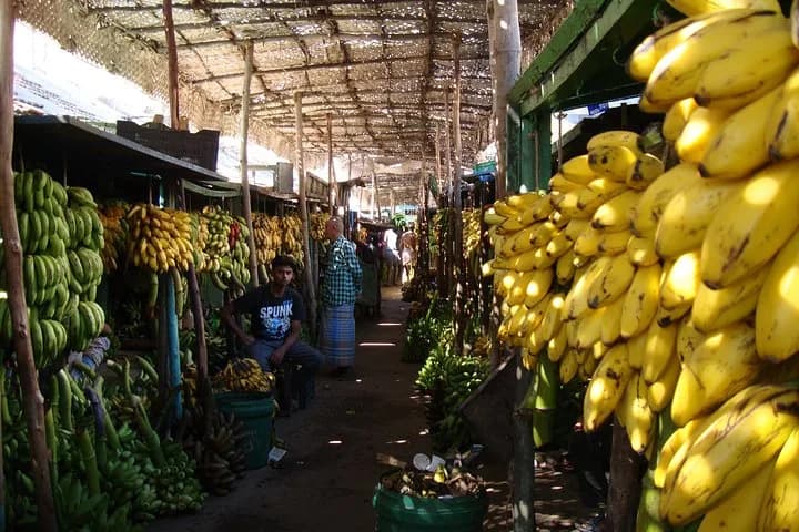 Discover the colorful markets of Madurai, stroll through the city's wi — photo 4