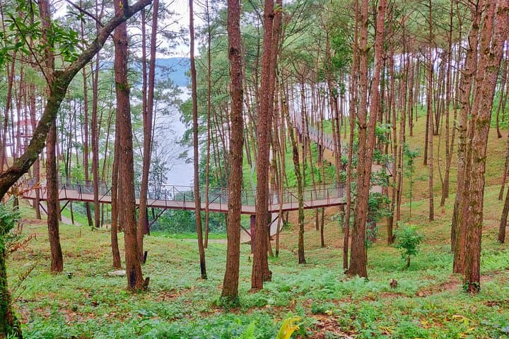 Explore the nature trails of a city and experience secrets in its kitt — photo 3