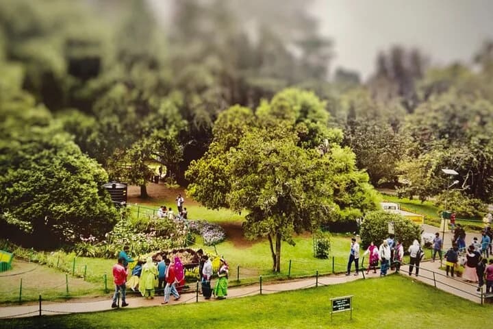 Discover Ooty outside the main tourist attractions and take in your gu — photo 4