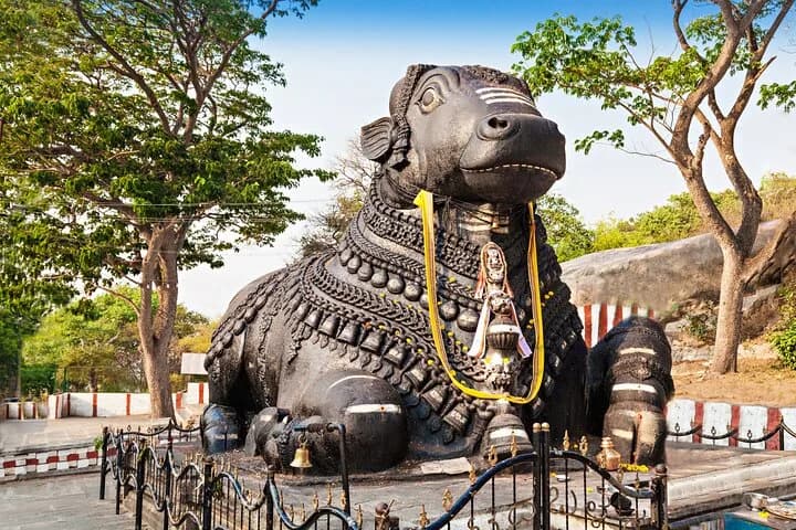Experience all the stunning and well-known locations in Mysore and sam — photo 3