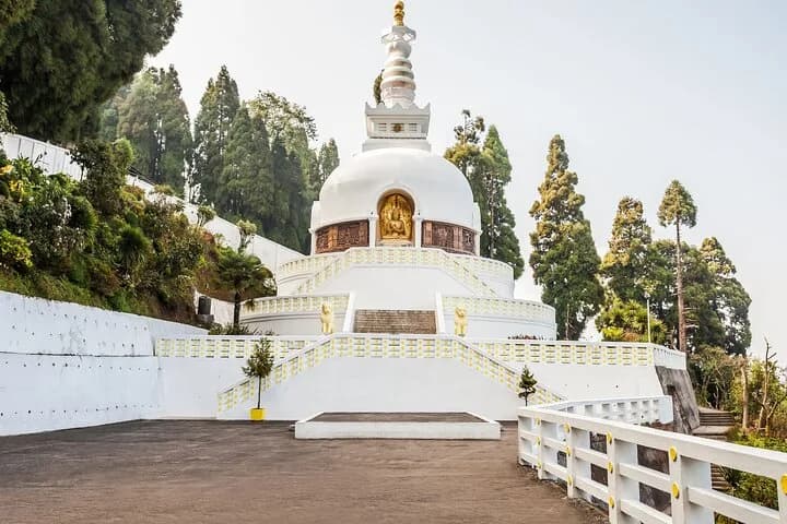 Discover all the beautiful and famous sites of Darjeeling and taste lo — photo 4