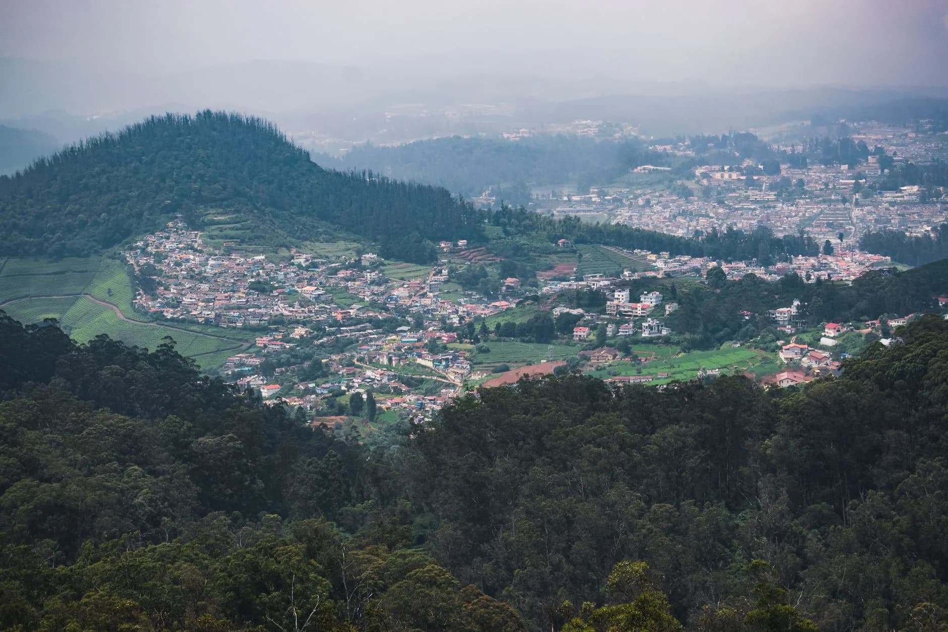 Ooty — Tea slopes and the Nilgiri hills around Ooty