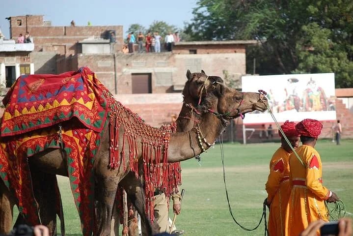 Undoubtedly, Jaipur is a photographer's paradise. Both novice and expe