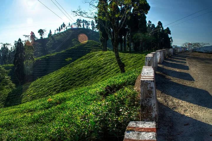 Explore the nature trails of a city and experience secrets in its kitt — second photo
