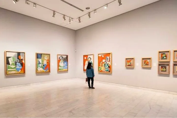 Barcelona Top Art Museum Pass Picasso Miro Tapies MNAC MACBA — second photo