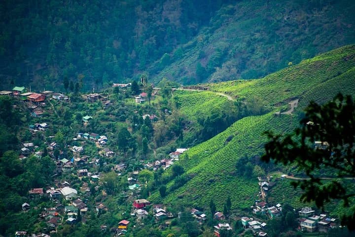 Discover all the beautiful and famous sites of Darjeeling and taste lo