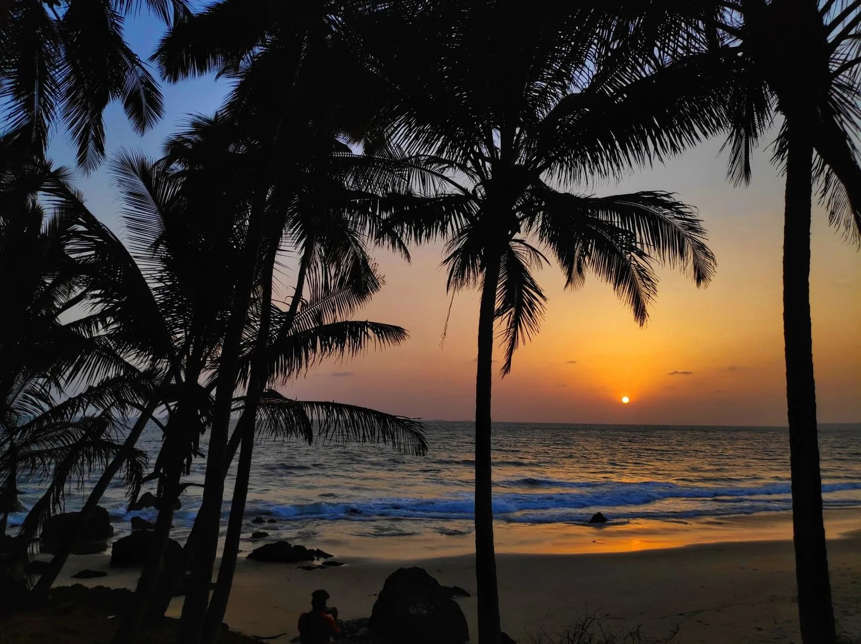 Goa — A palm-fringed beach at sunset in Goa