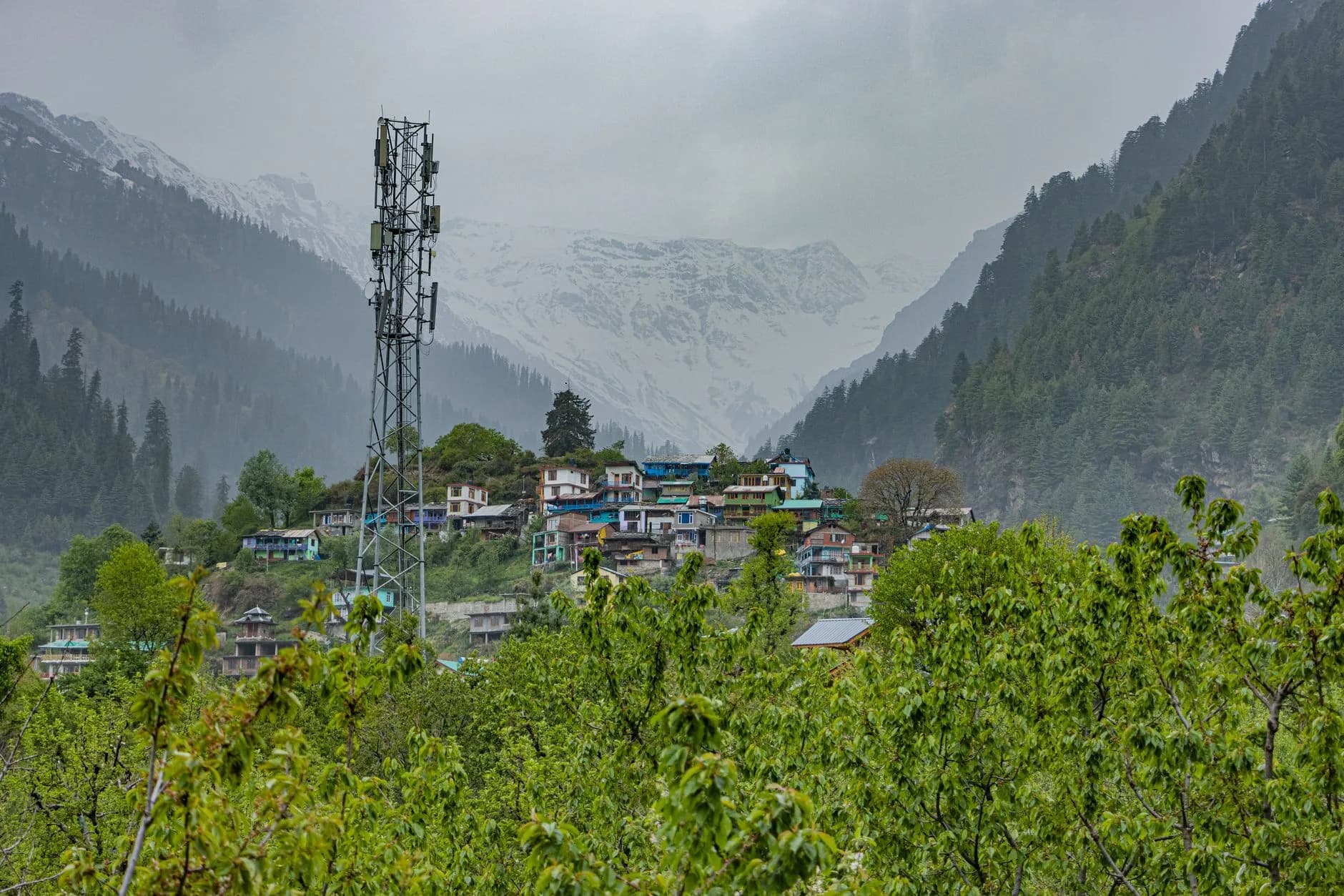 Manali — Snow peaks above the Manali valley