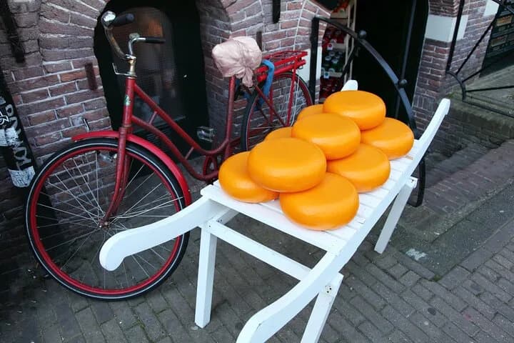 Rotterdam Half‑Day Private Tour — second photo