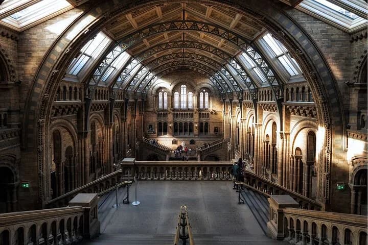 Natural History Museum Audio Tour — photo 10