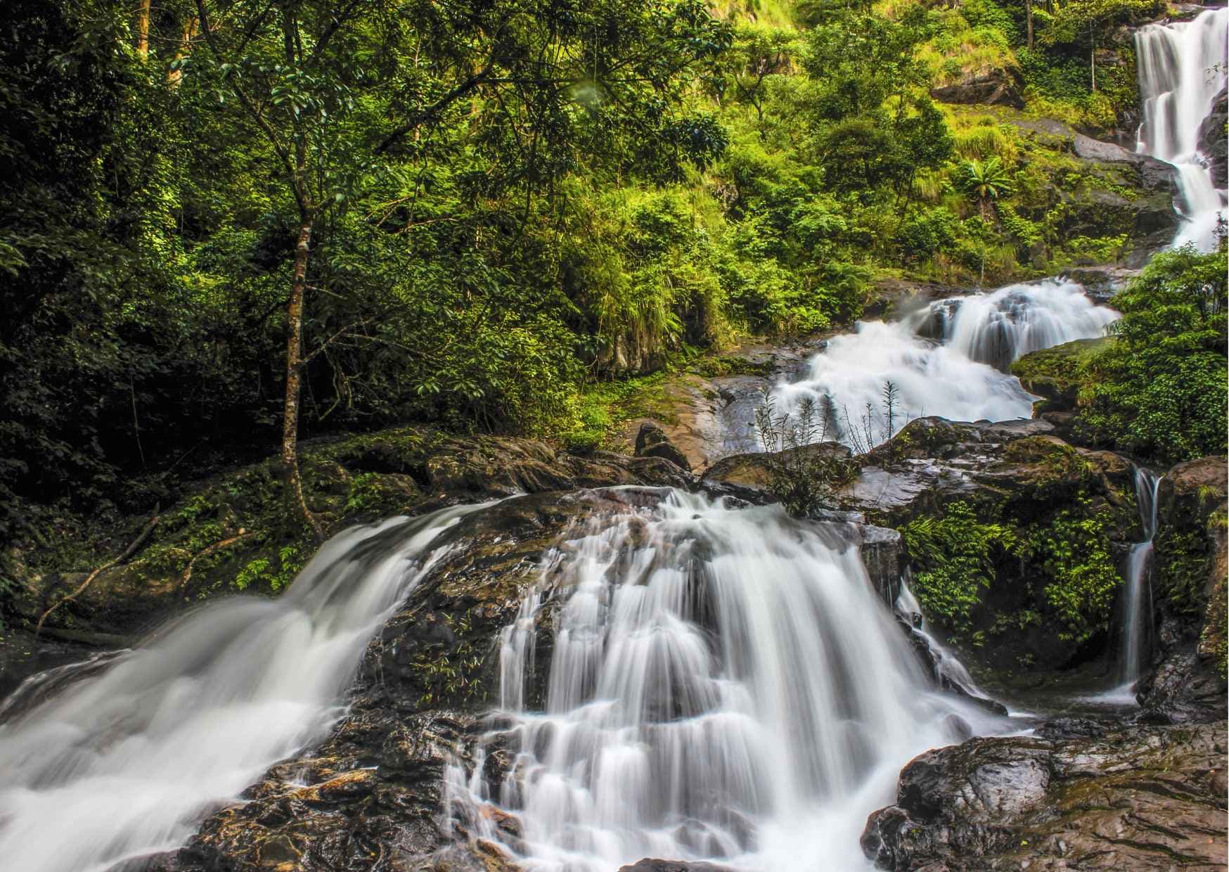 Discover hidden gems within the city's natural paths in the stunning c — photo 8