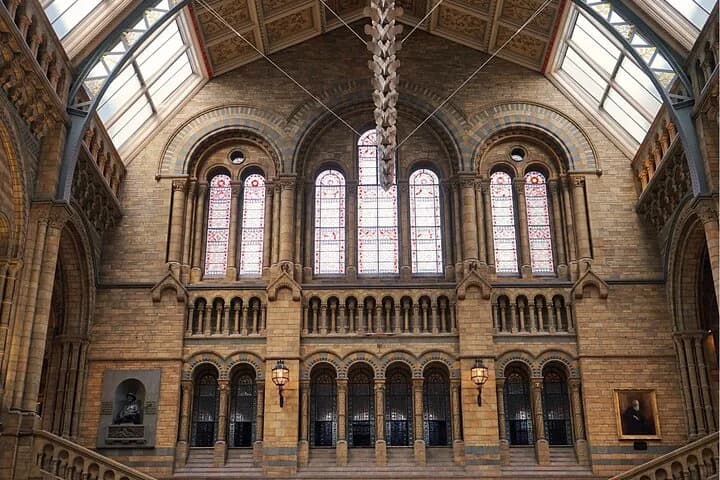 Natural History Museum Audio Tour — photo 9