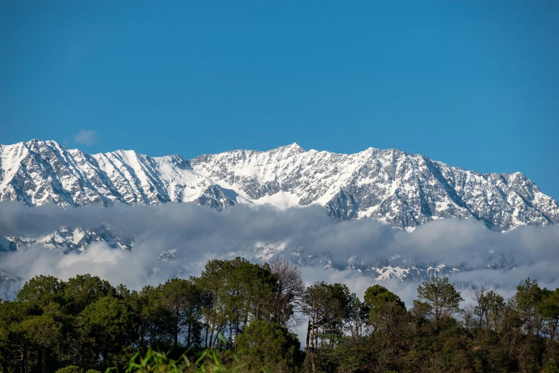 Dharamshala — McLeod Ganj and the Dhauladhar peaks, Dharamshala