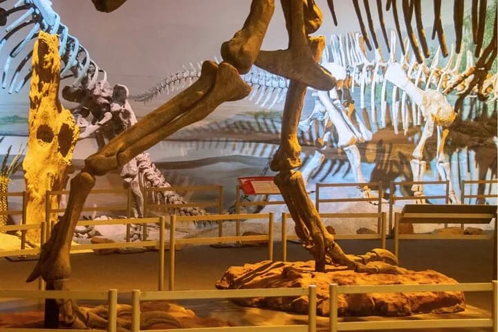 Natural History Museum Audio Tour — photo 8