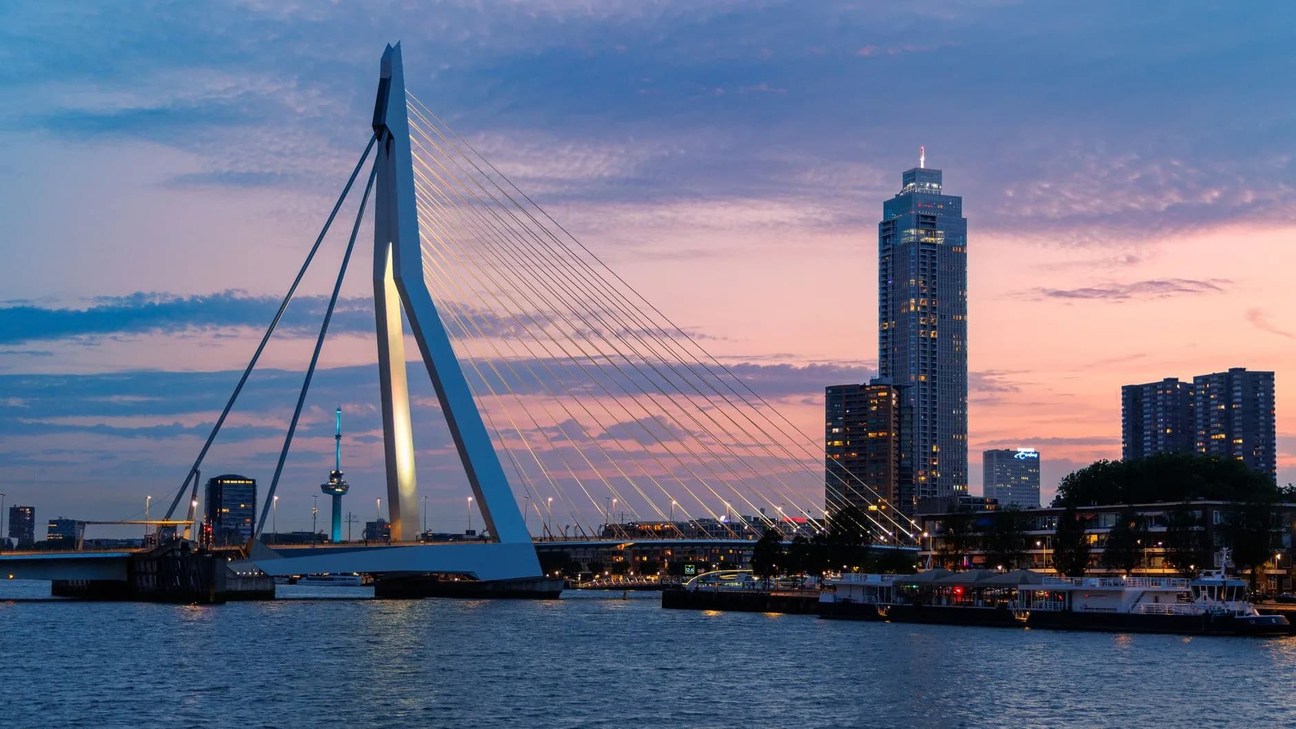 Rotterdam — Rotterdam's skyline and the Erasmus Bridge