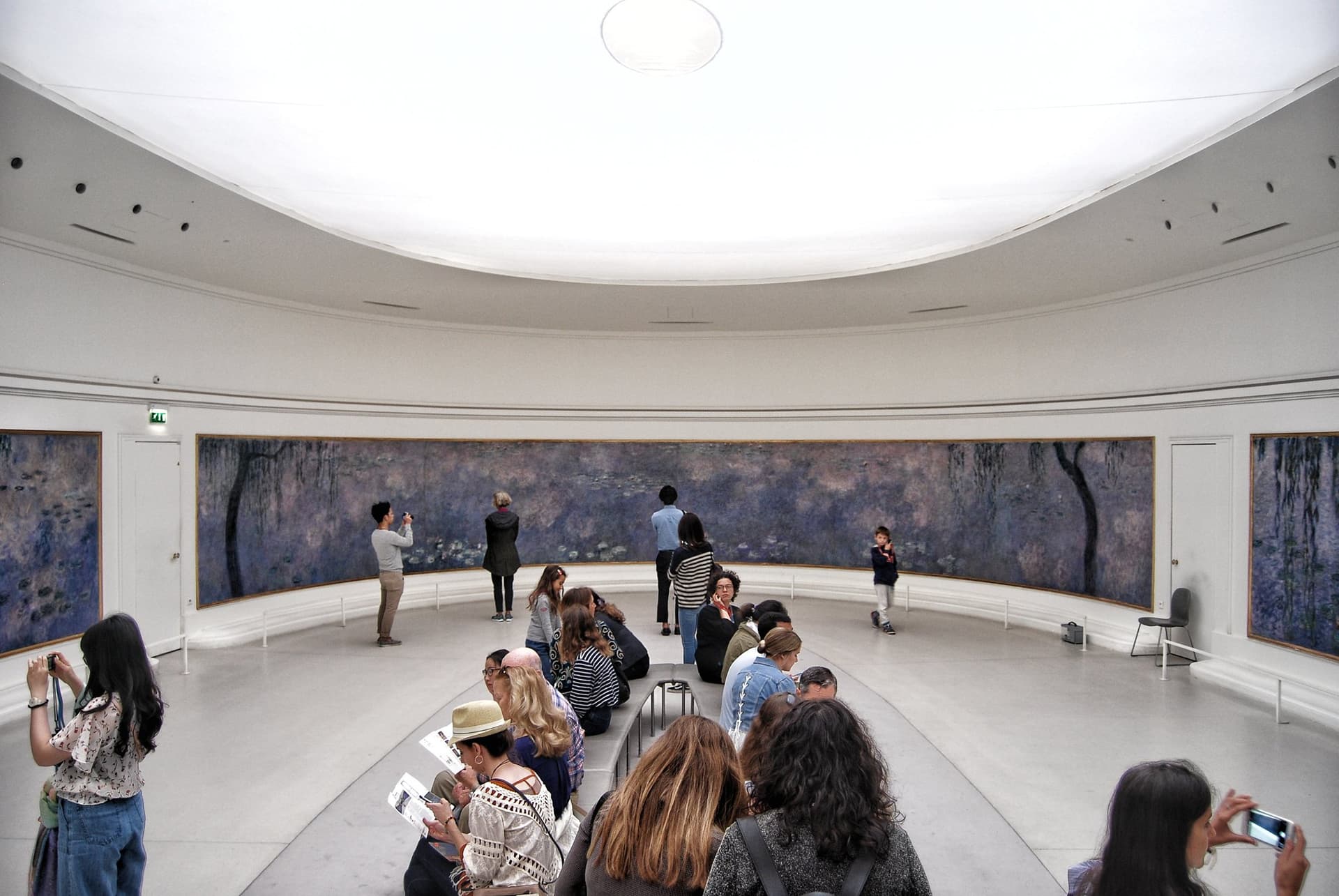 Level 0 Oval Rooms: Claude Monet: Water Lilies (Les Nymphéas)